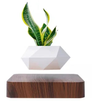 Vaso per Piante Fluttuante Magnetico Moderno in Plastica BL-06A