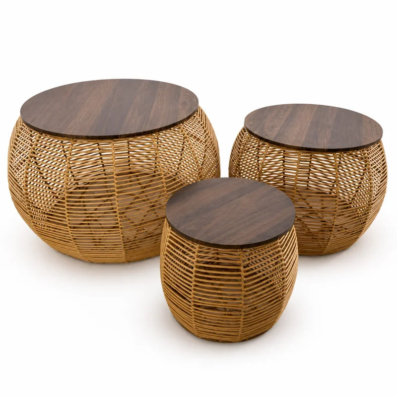 Tavolino da Salotto in Rattan e Legno 12630