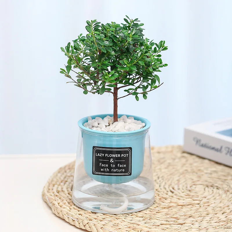 Vaso da Fiori Auto-Irrigante in Plastica 1601873201942