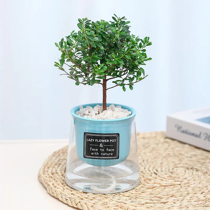 Vaso da Fiori Auto-Irrigante in Plastica 1601873201942