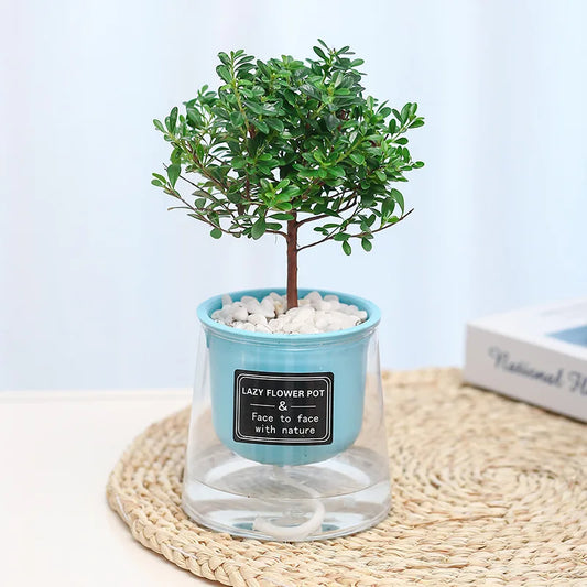 Vaso da Fiori Auto-Irrigante in Plastica 1601873201942